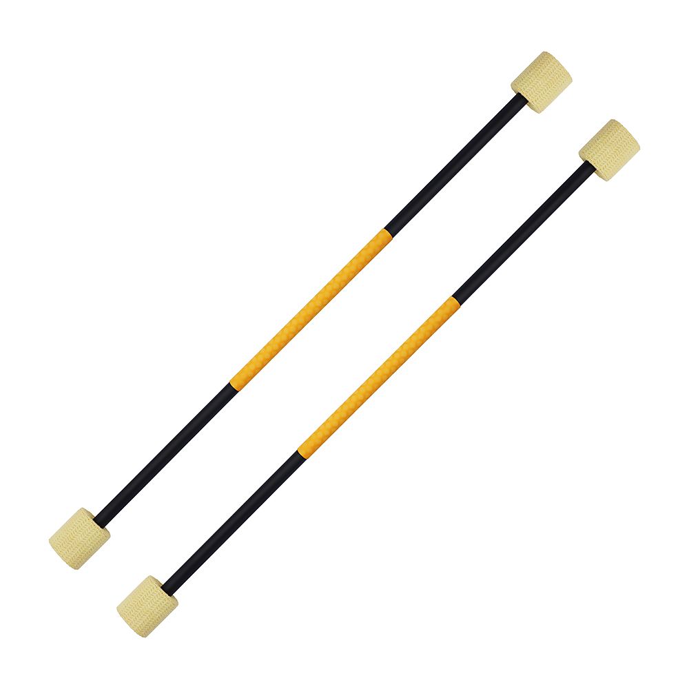 Pair of Expert Fire Twirling Baton