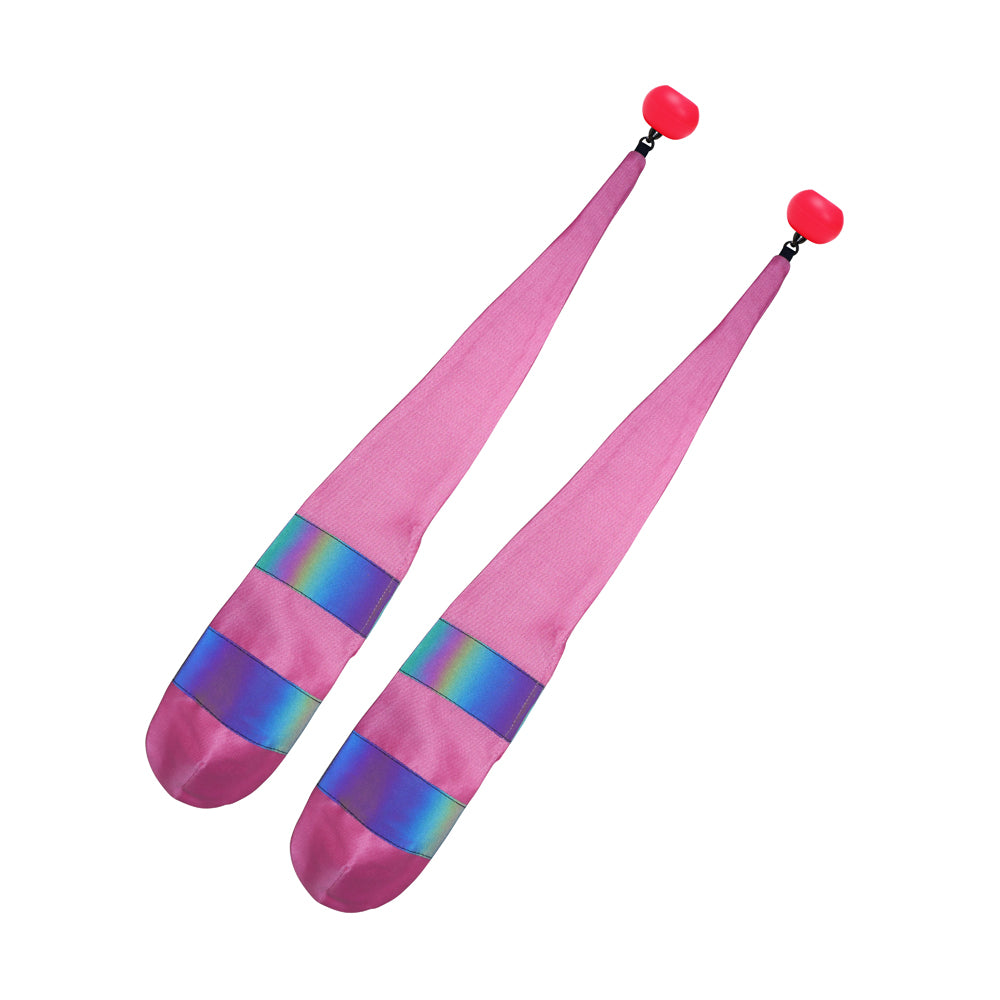Pair of Rainbow Reflective Poi