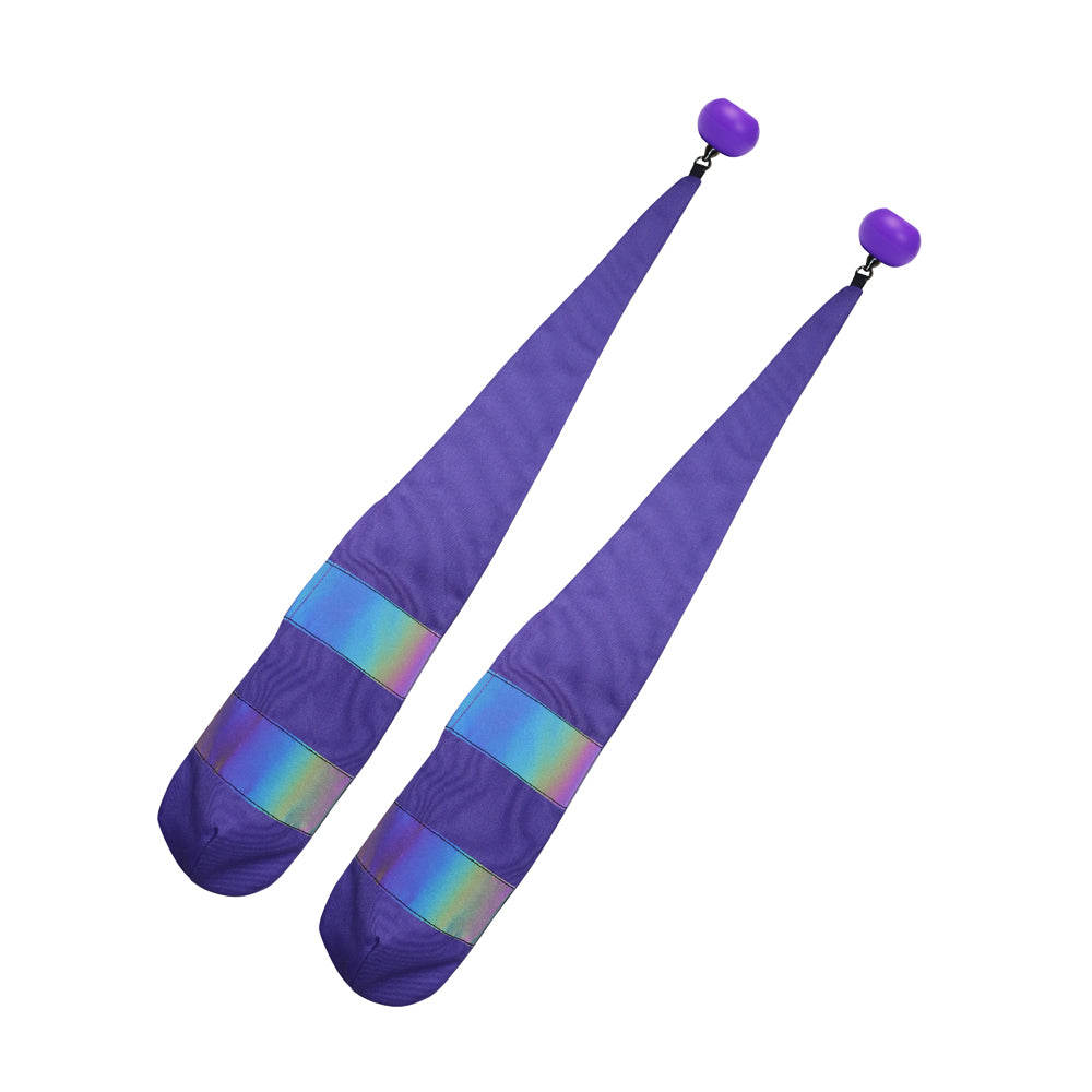 Pair of Rainbow Reflective Poi